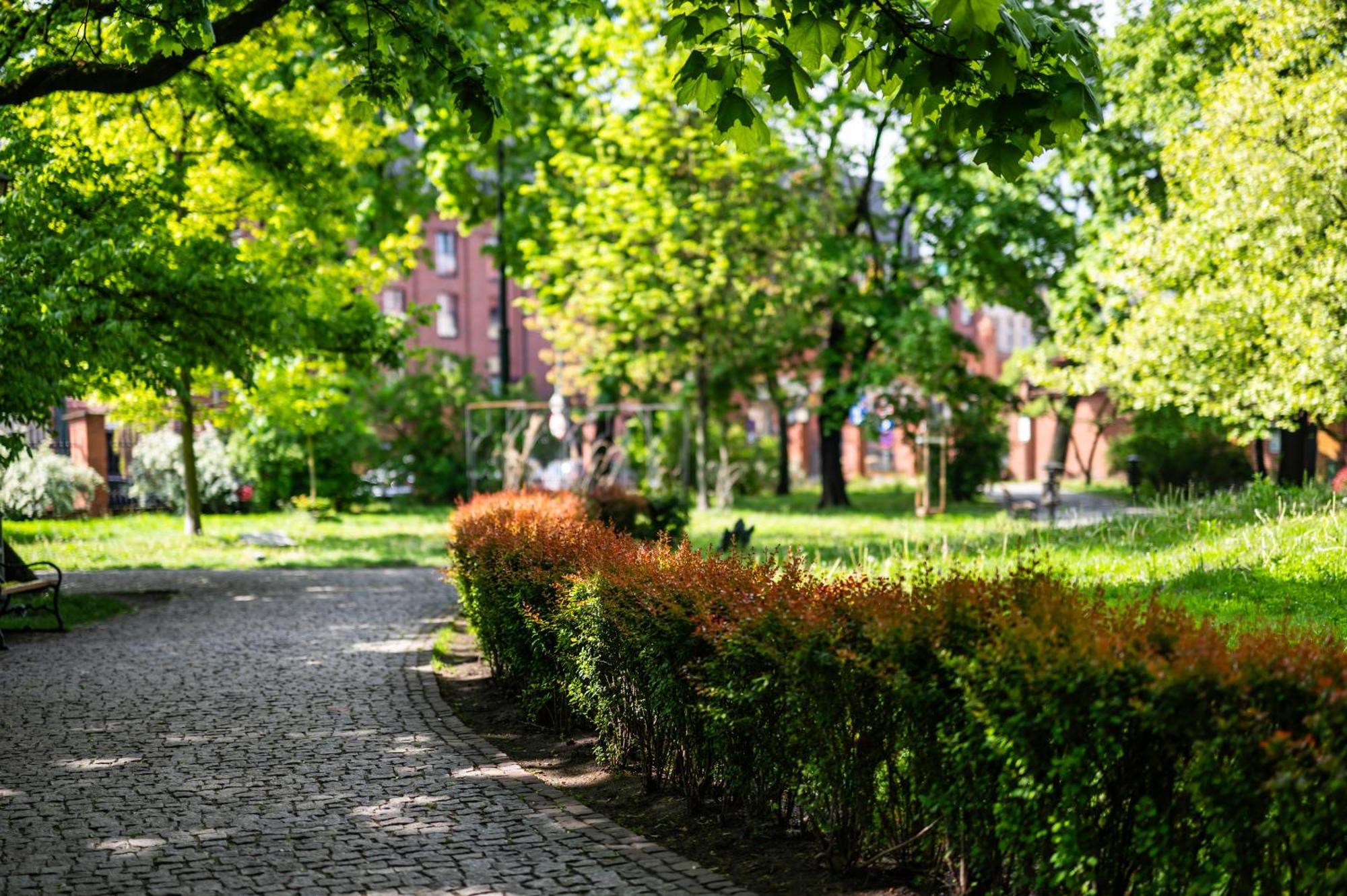 Mediolan Parking Gratis Moxy Te&Am Cracow Lejlighed Kraków Eksteriør billede